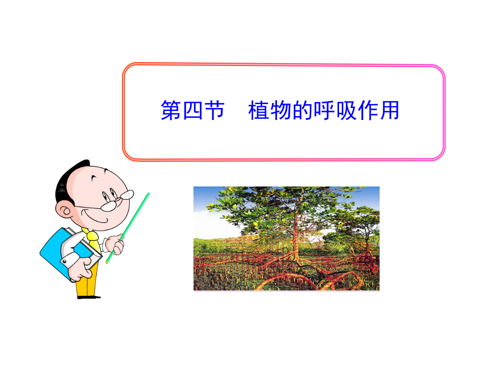 （中小学资料）第四节植物的呼吸作用