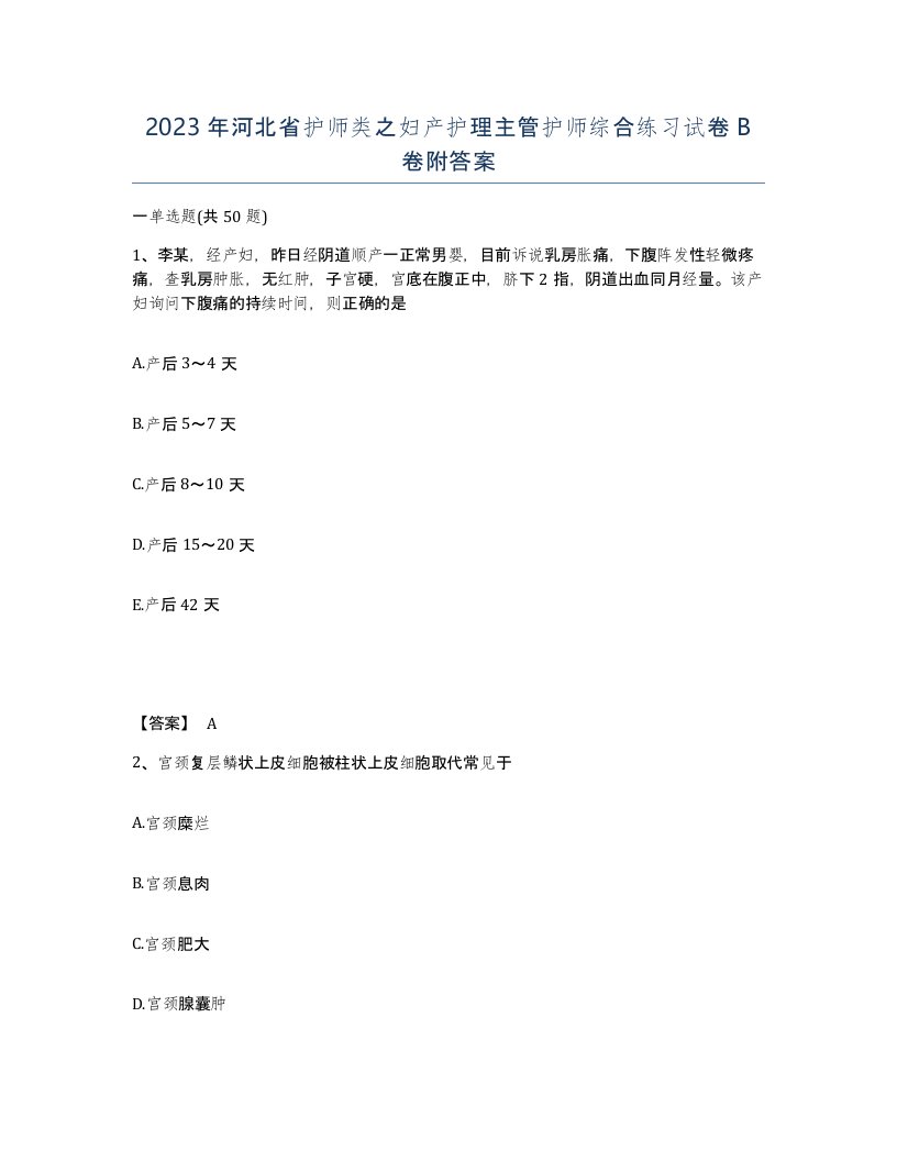 2023年河北省护师类之妇产护理主管护师综合练习试卷B卷附答案