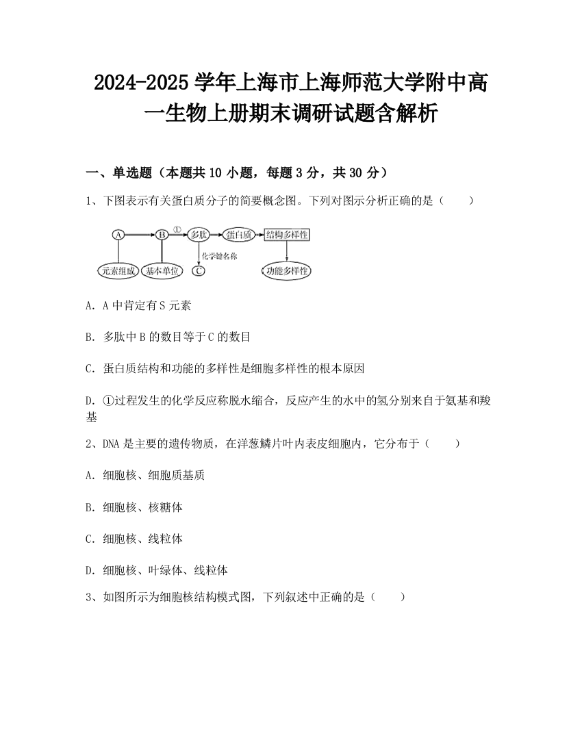 2024-2025学年上海市上海师范大学附中高一生物上册期末调研试题含解析