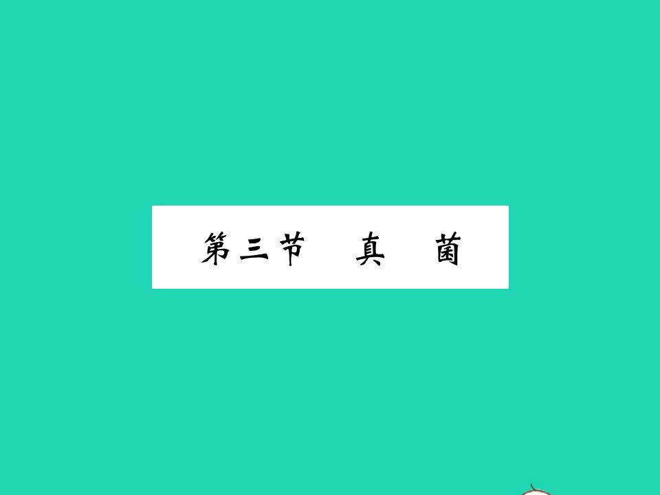 八年级生物上册第五单元生物圈中的其他生物第四章细菌和真菌第三节真菌习题课件新版新人教版