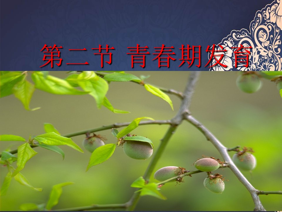 八年级生物上册