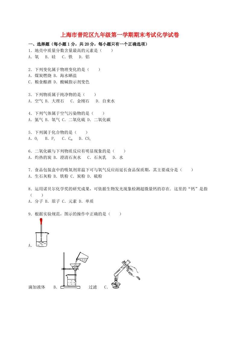 上海市普陀区九级化学上学期期末考试试题（含解析）