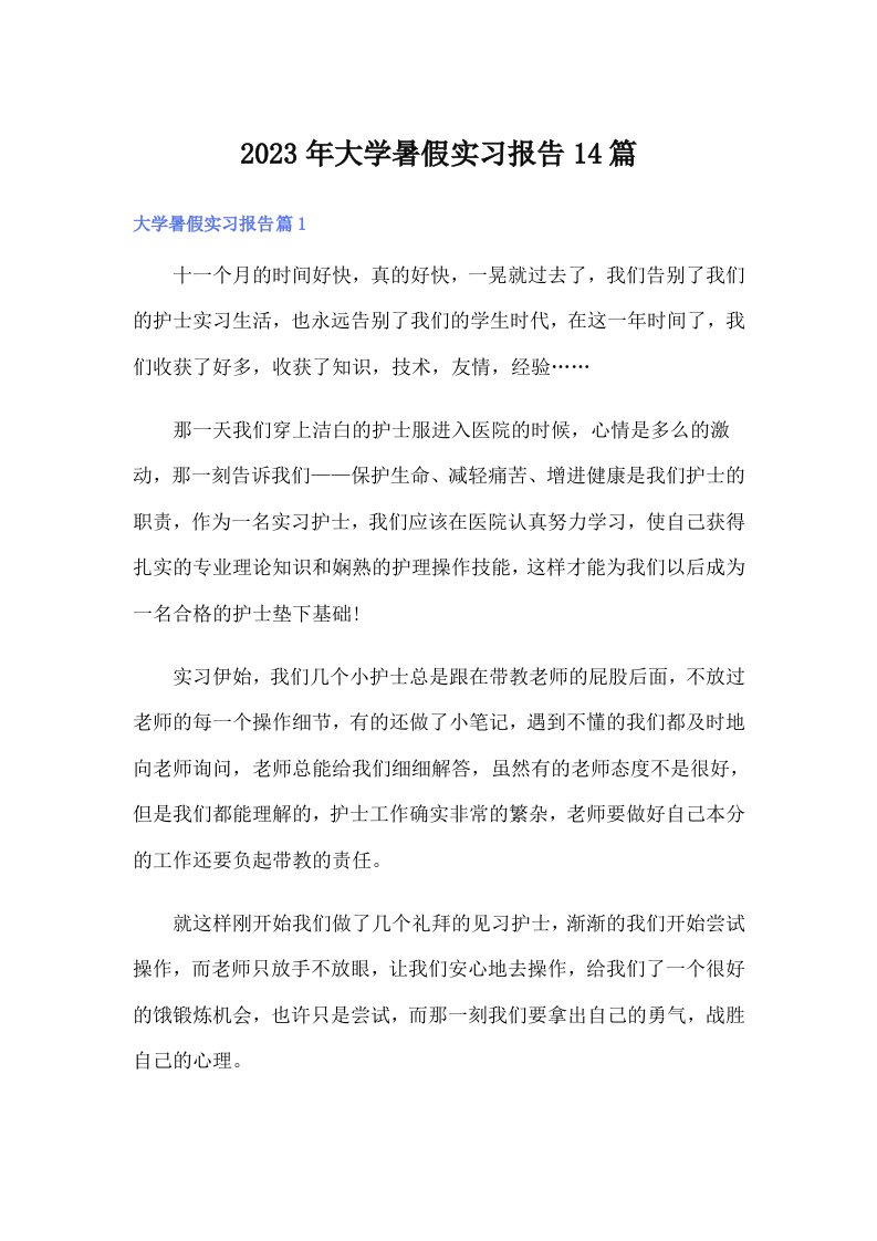 大学暑假实习报告14篇