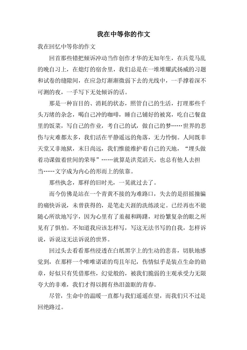 我在中等你的作文