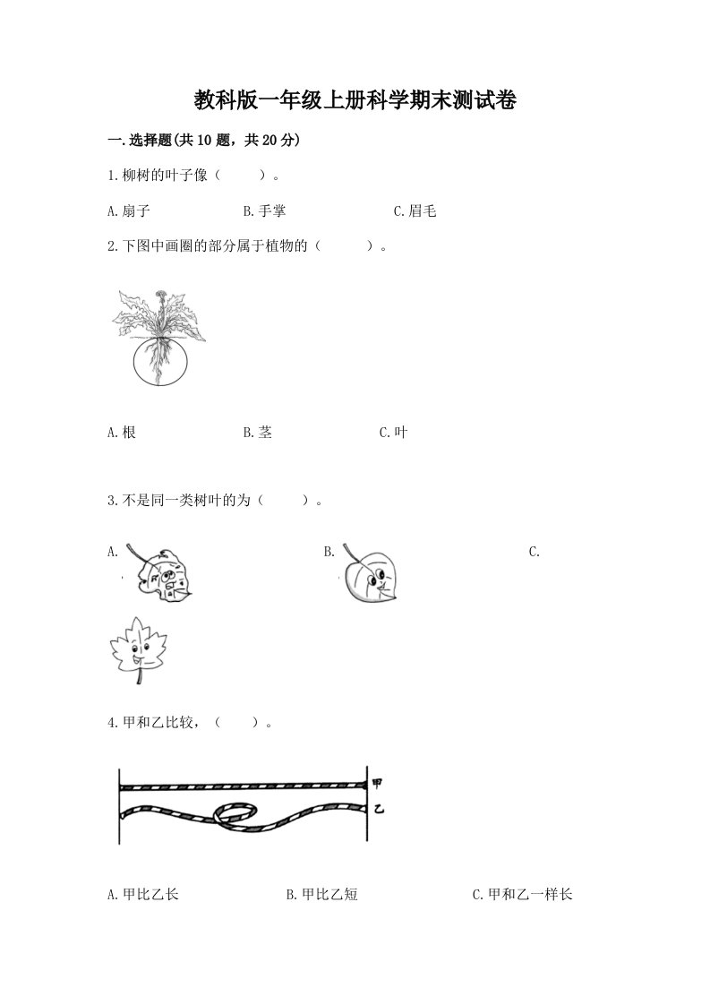 教科版一年级上册科学期末测试卷及答案一套