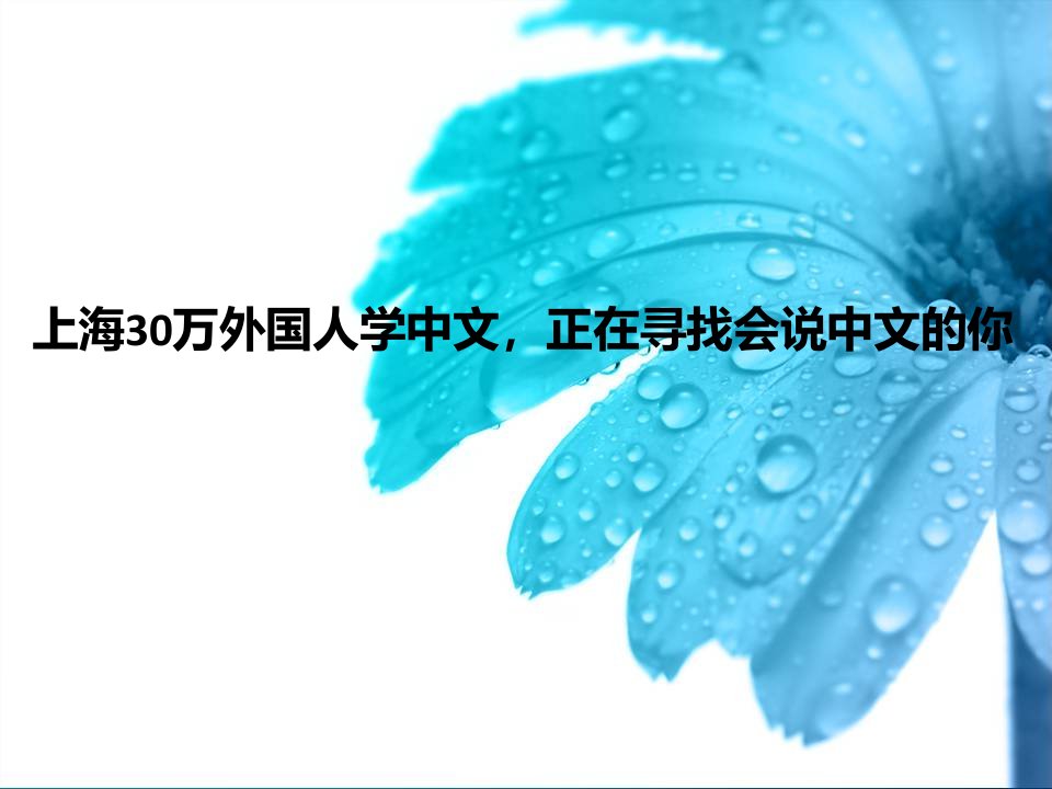 上海30万外国人学中文-正在寻找会说中文的你ppt课件