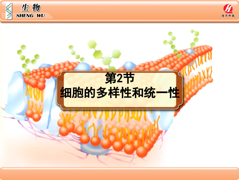 12《细胞的多样性和统一性》（上课用）