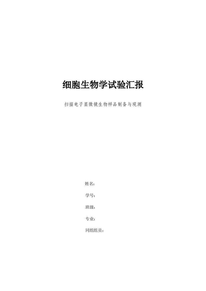 2023年扫描电子显微镜生物样品制备与观察细胞生物学实验报告