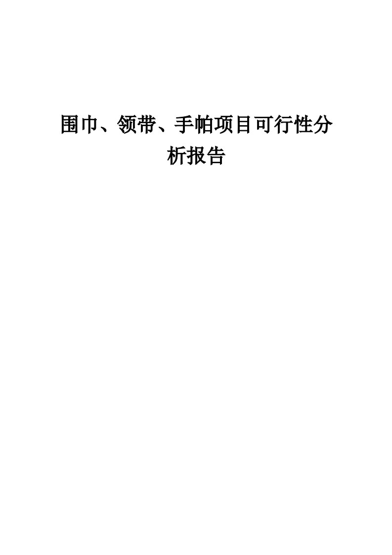 围巾、领带、手帕项目可行性分析报告