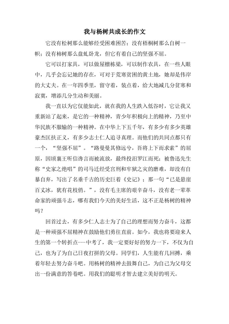 我与杨树共成长的作文