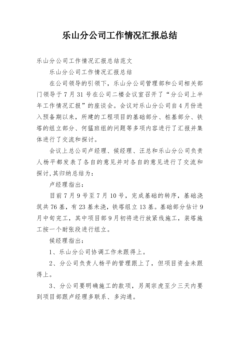 乐山分公司工作情况汇报总结