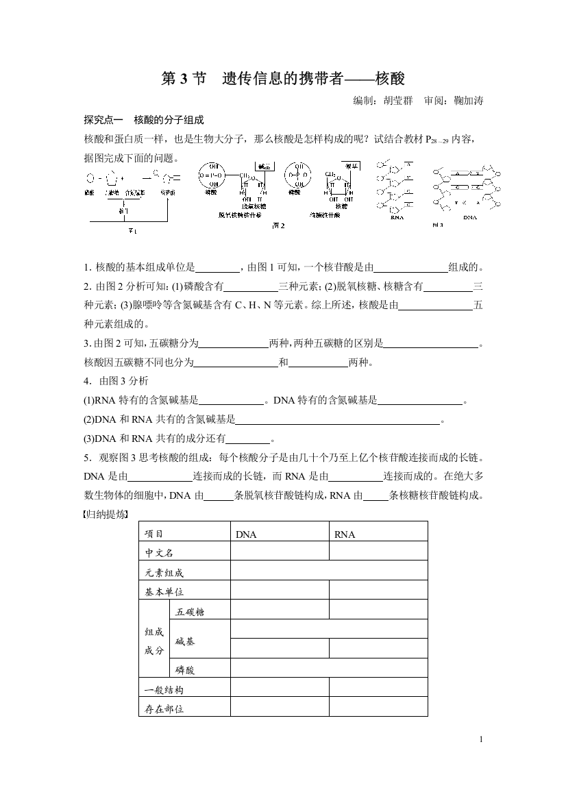 23核酸导学案