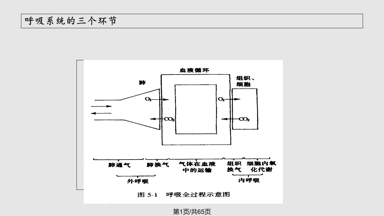 氧气吸入法PPT课件