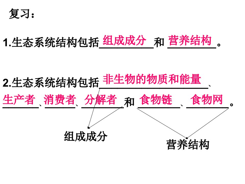 生态系统的能量流动PPT