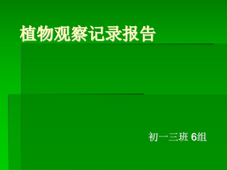 植物观察记录报告