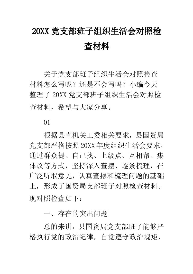 党支部班子组织生活会对照检查材料