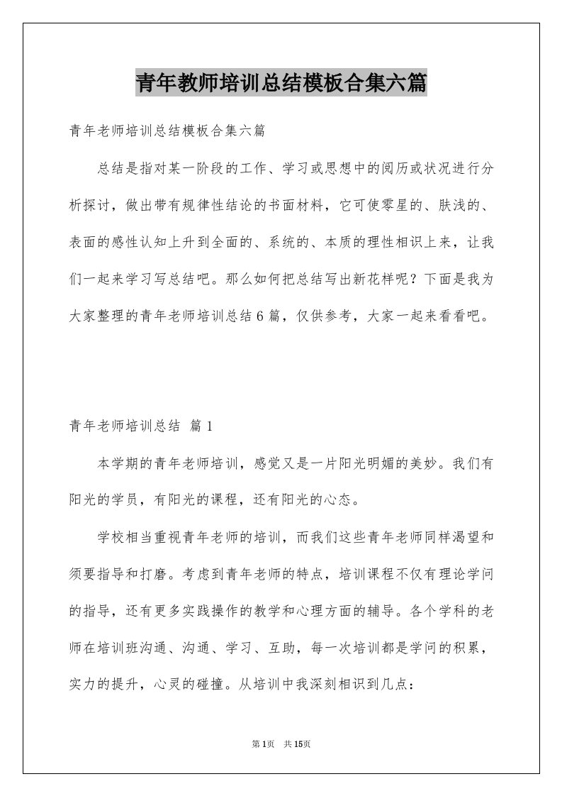 青年教师培训总结模板合集六篇