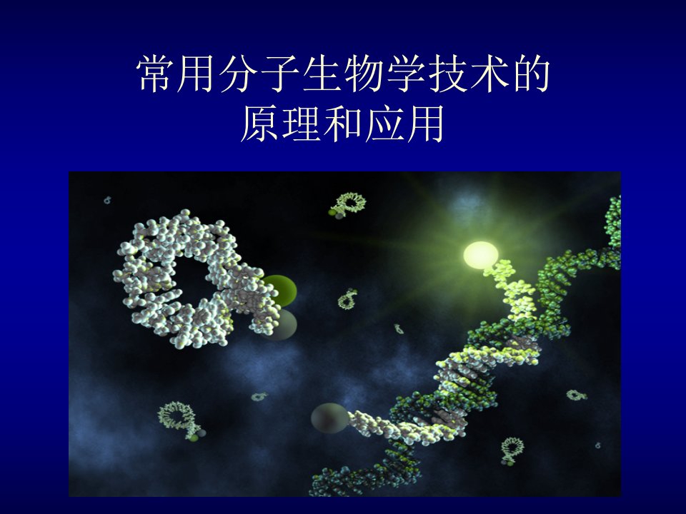 5分子生物学技术