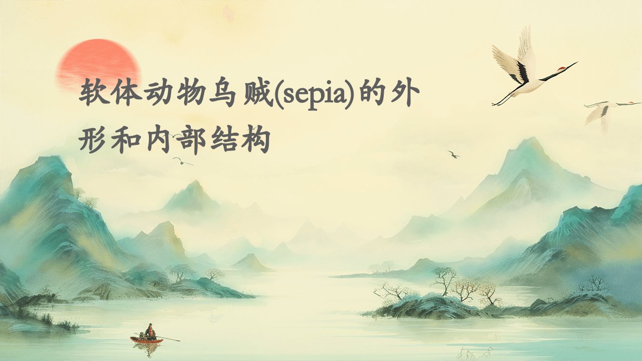 软体动物乌贼(sepia)的外形和内部结构