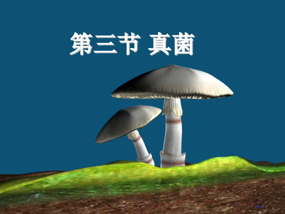 七年级生物下册6.1.3真菌省公开课一等奖新名师优质课获奖PPT课件