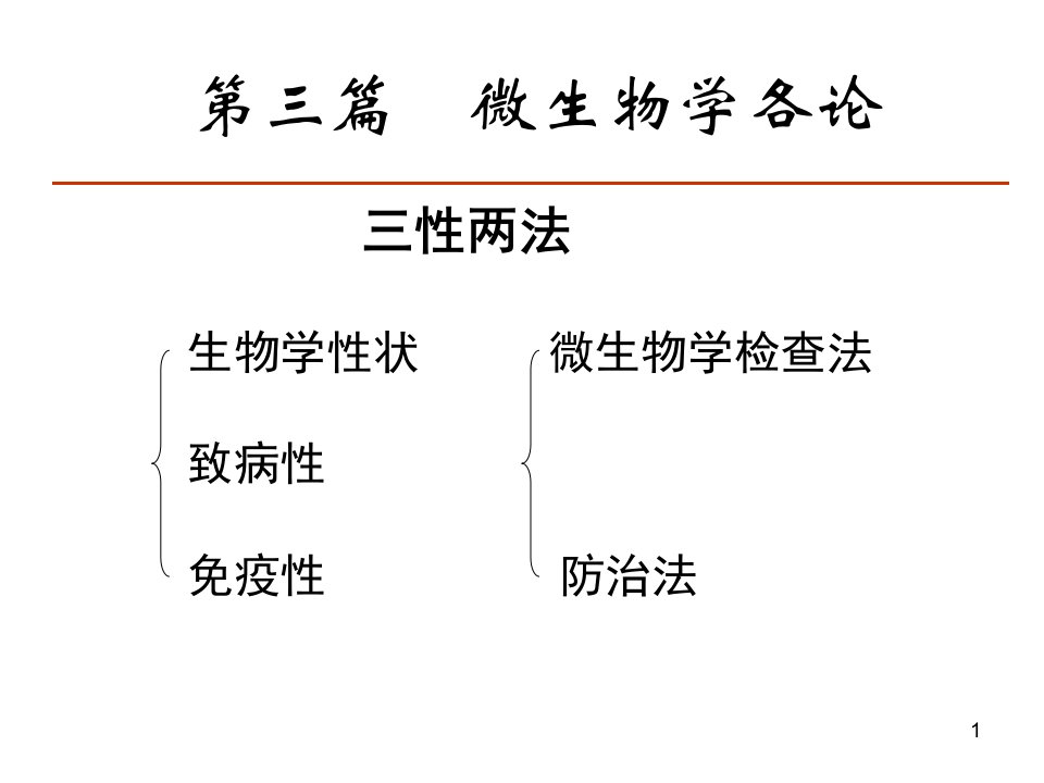 微生物学化脓性细菌