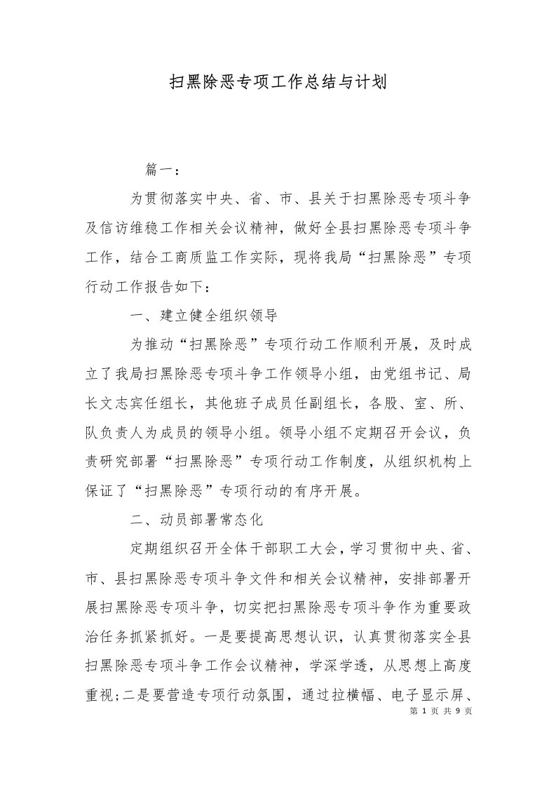 扫黑除恶专项工作总结与计划