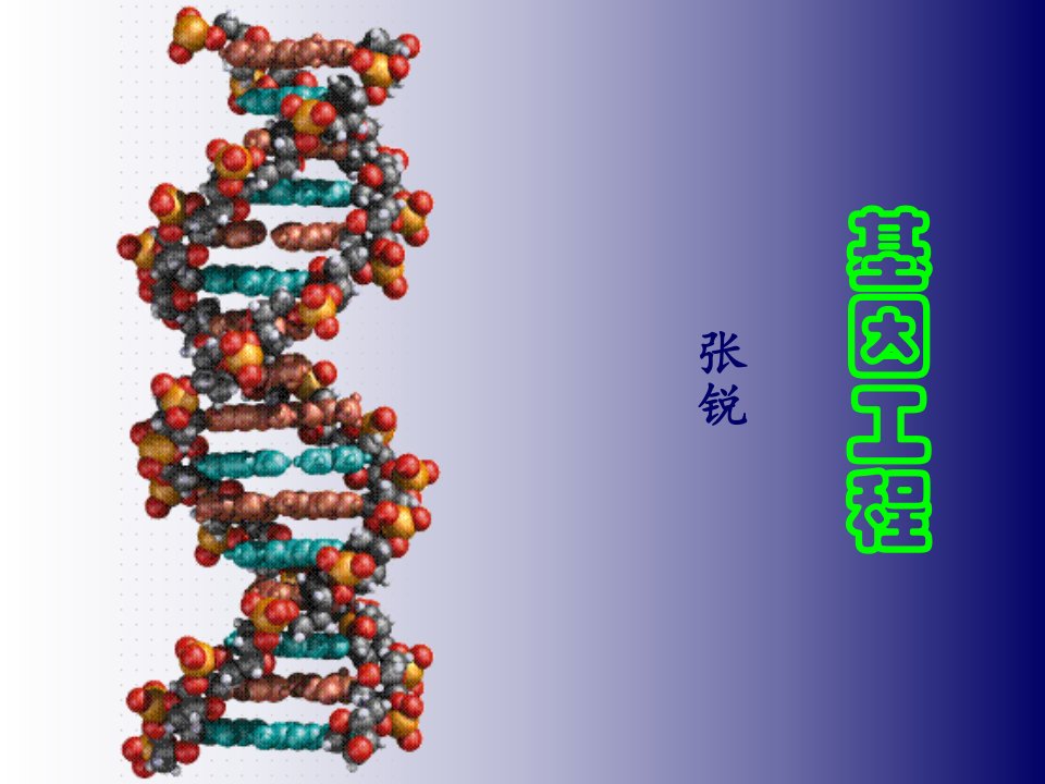 基因克隆的载体