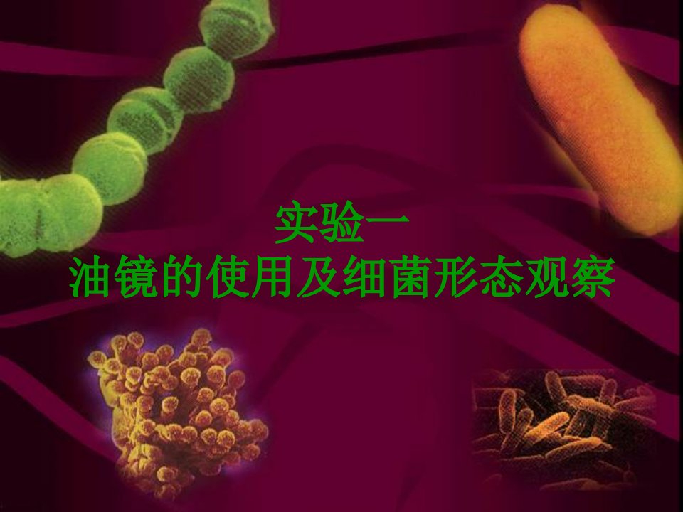 微生物学实验典课件