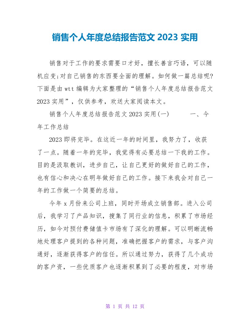 销售个人年度总结报告范文2023实用