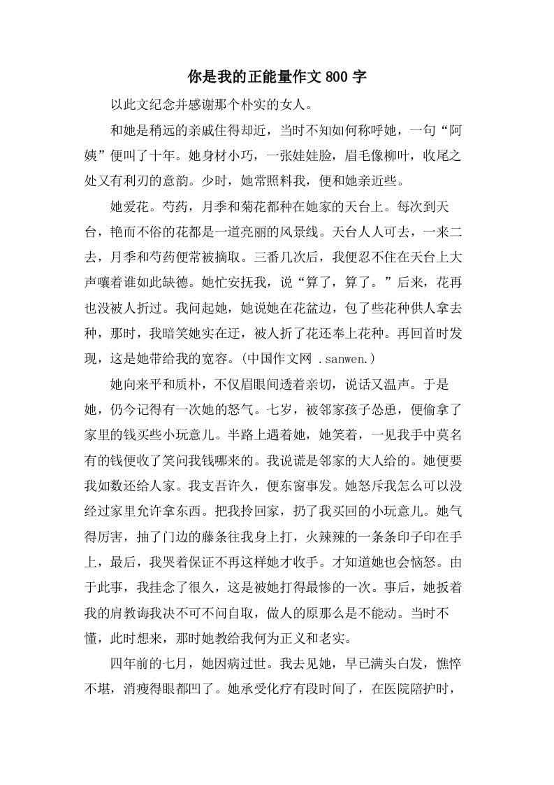 你是我的正能量作文800字