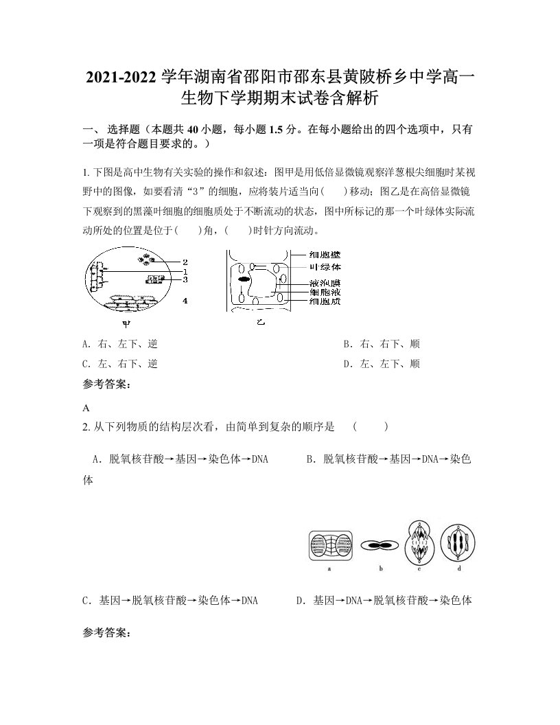 2021-2022学年湖南省邵阳市邵东县黄陂桥乡中学高一生物下学期期末试卷含解析