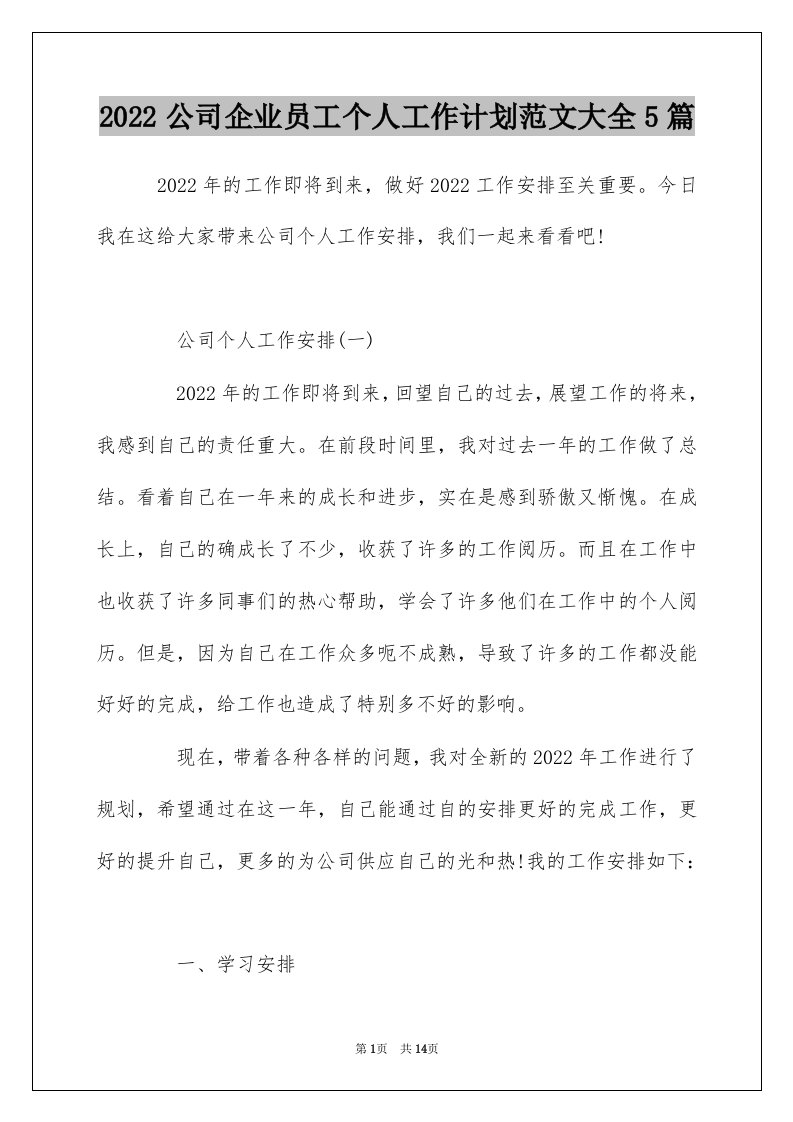 2022公司企业员工个人工作计划范文大全5篇