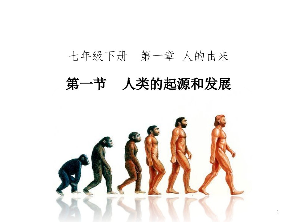 人类的起源和发展ppt课件2020-2021学年人教版七年级生物下册