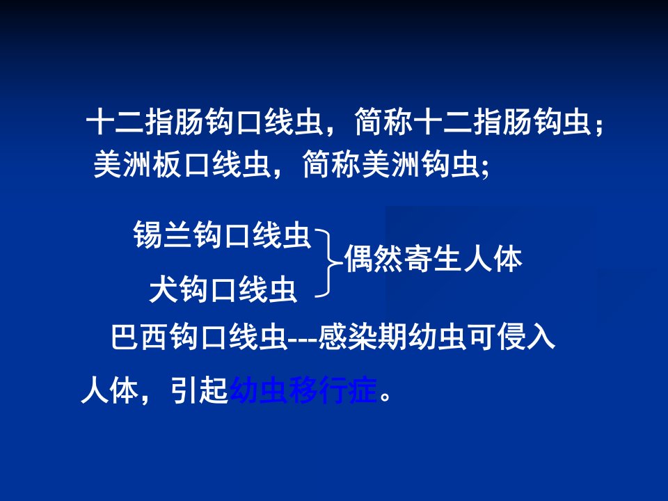 十二指肠钩口线虫和美洲板口线虫