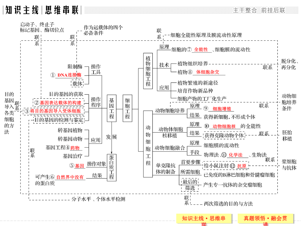 高三生物二轮基因工程与细胞工程