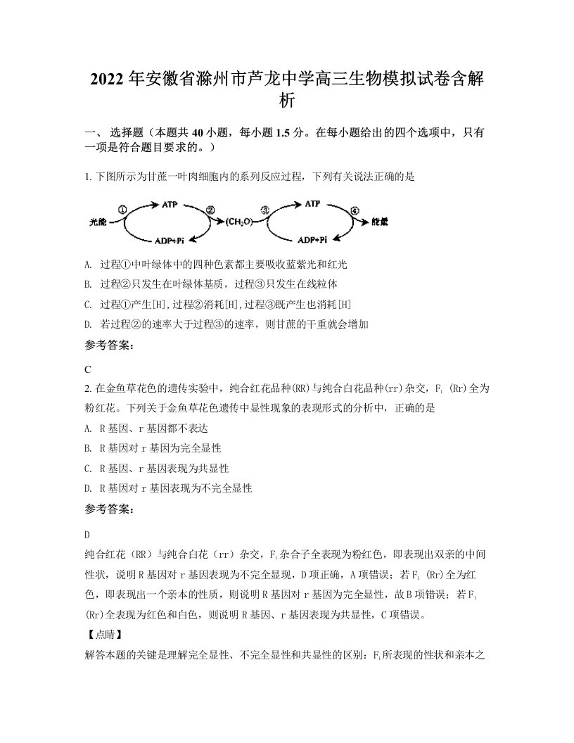 2022年安徽省滁州市芦龙中学高三生物模拟试卷含解析