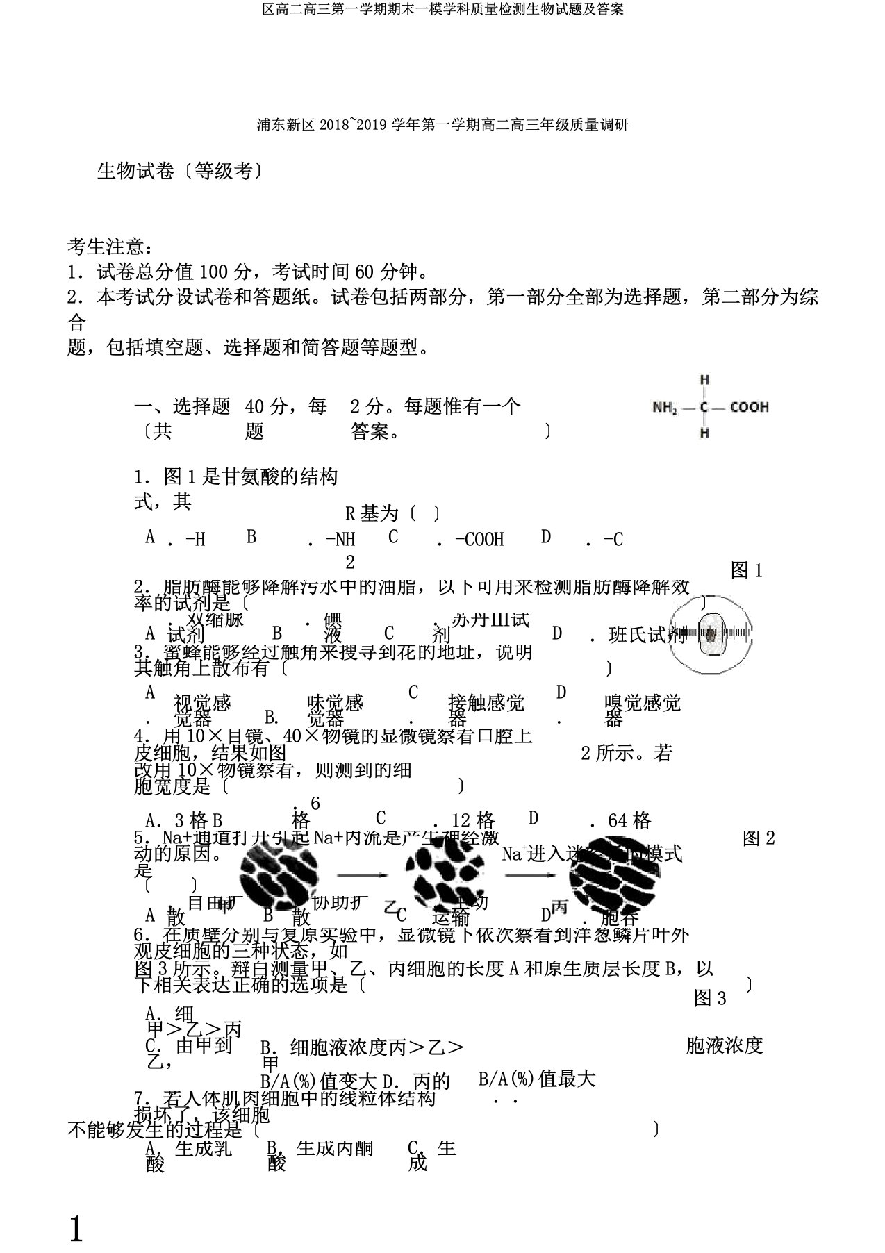 区高二高三第一学期期末一模学科质量检测生物试题