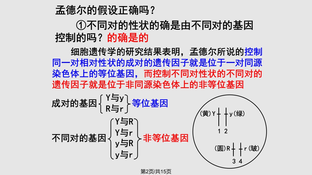 苏教基因自由组合定律二