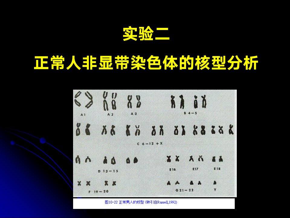 正常人非显带染色体的核型分析