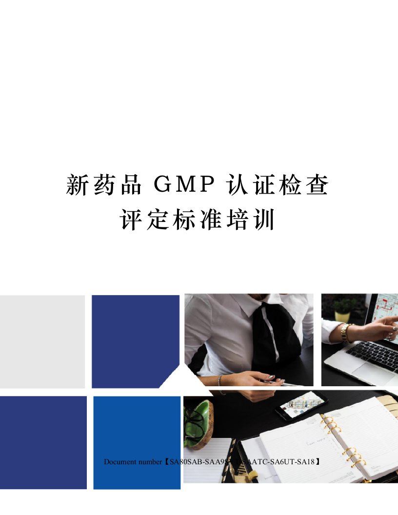 新药品GMP认证检查评定标准培训修订稿