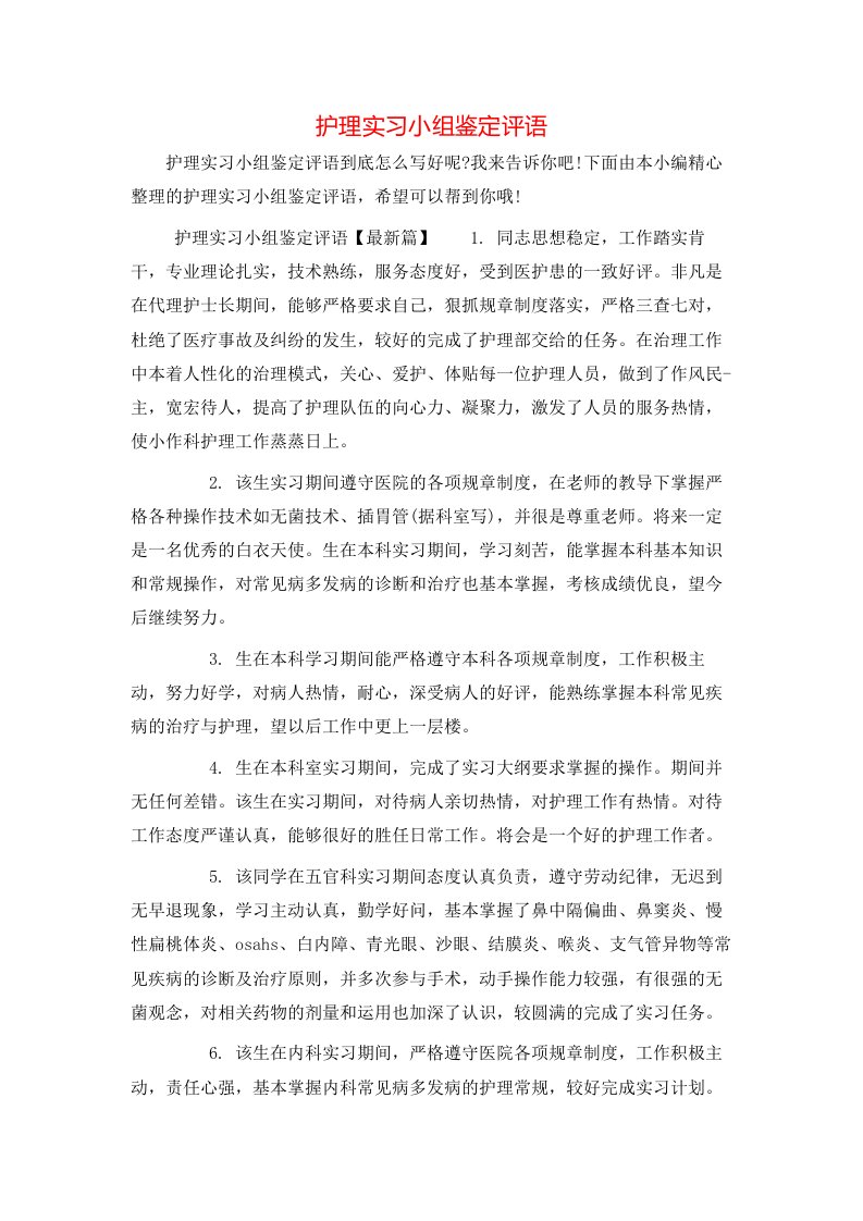 护理实习小组鉴定评语