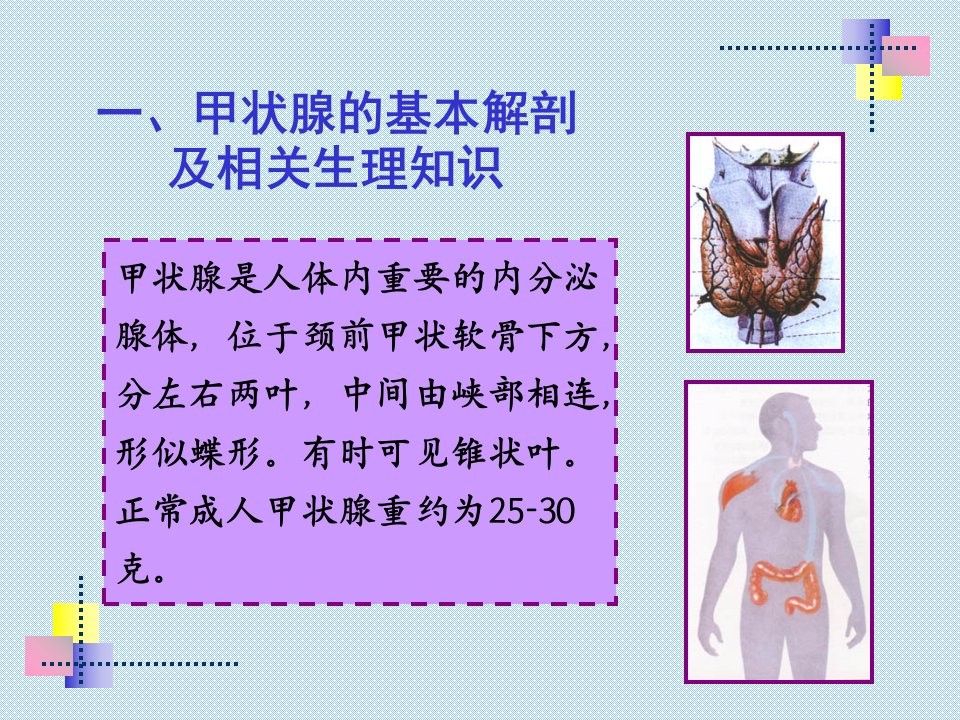 甲功检查甲状腺功能检查核医学ppt课件