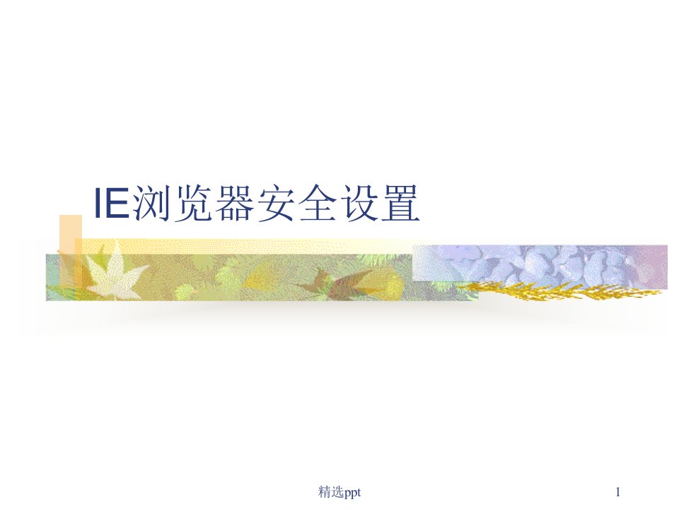 ie浏览器安全设置