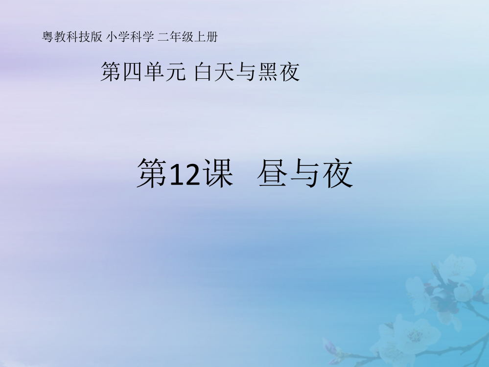 【精编】二年级科学上册