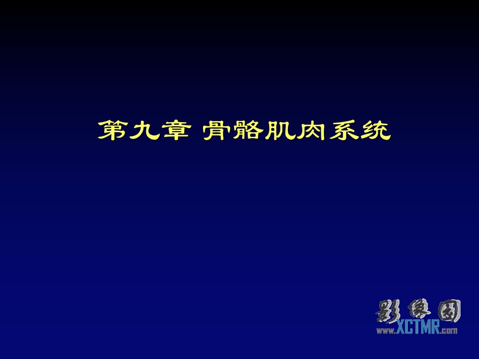 企业诊断-371911骨关节化脓性感染影像诊断1