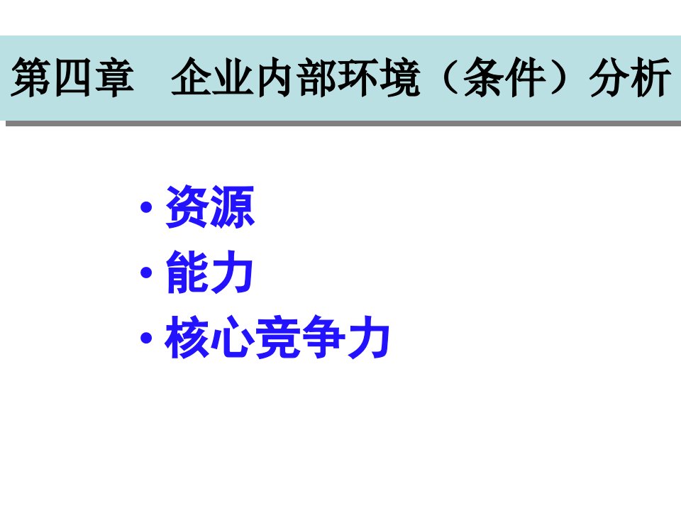 企业战略管理企业内部环境分析报告