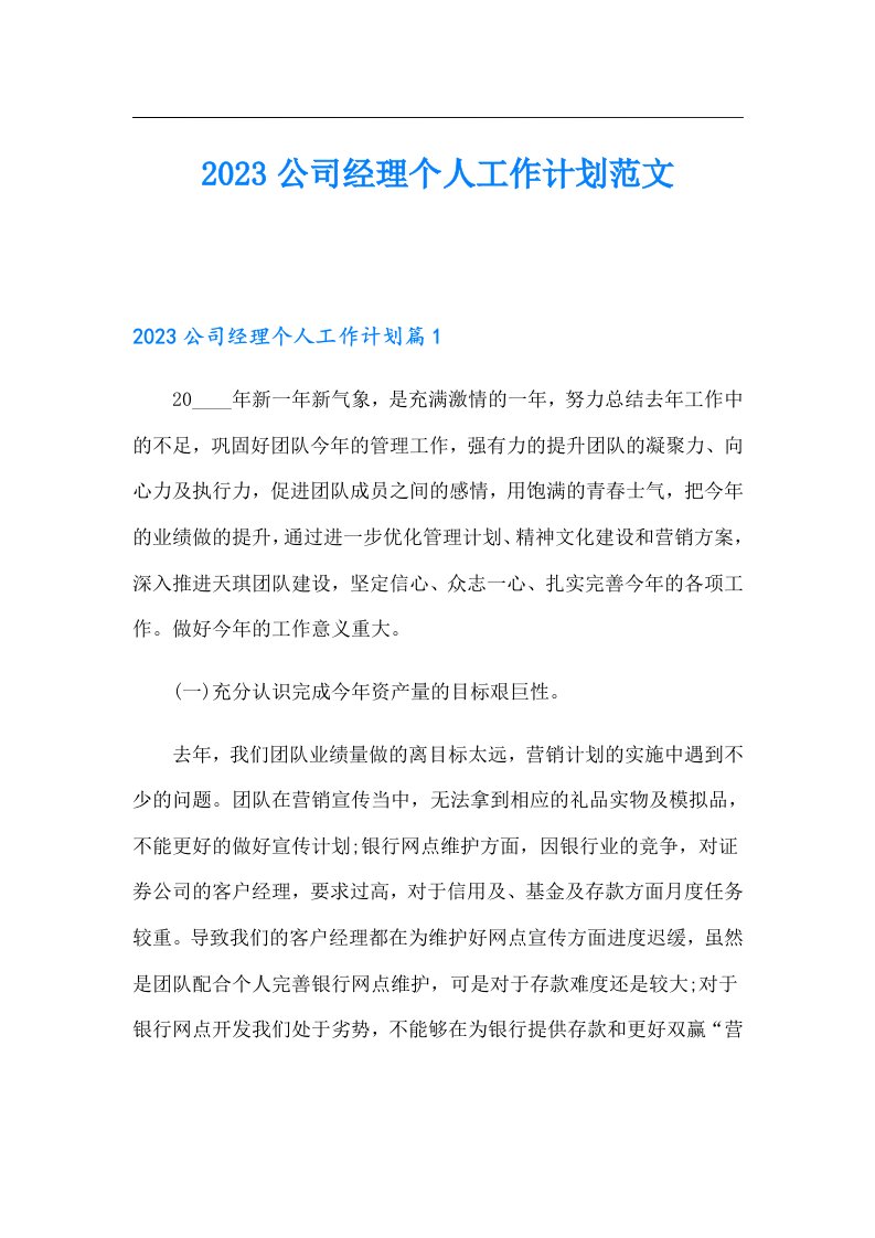 公司经理个人工作计划范文