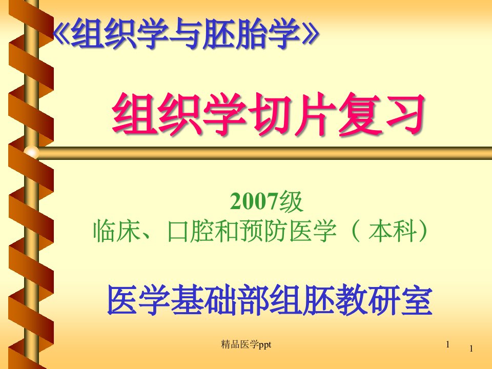 临床医学组织学切片复习课件