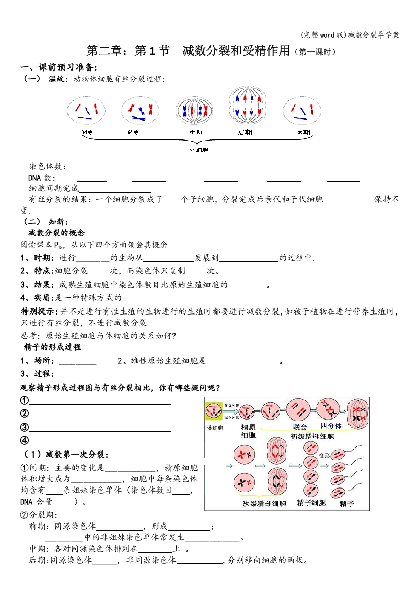 减数分裂导学案