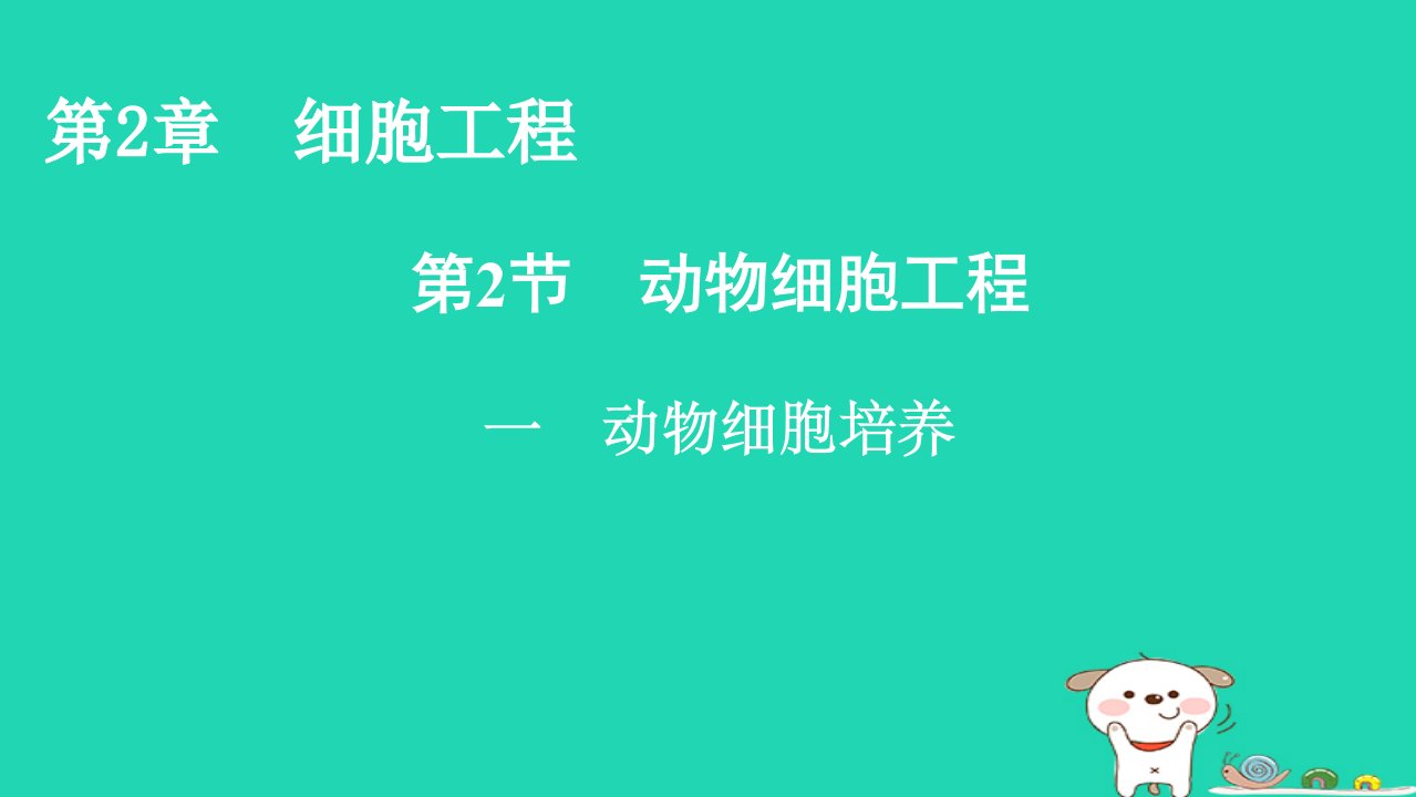 2022_2023学年新教材高中生物第2章细胞工程第2节动物细胞工程1动物细胞培养课件新人教版选择性必修3